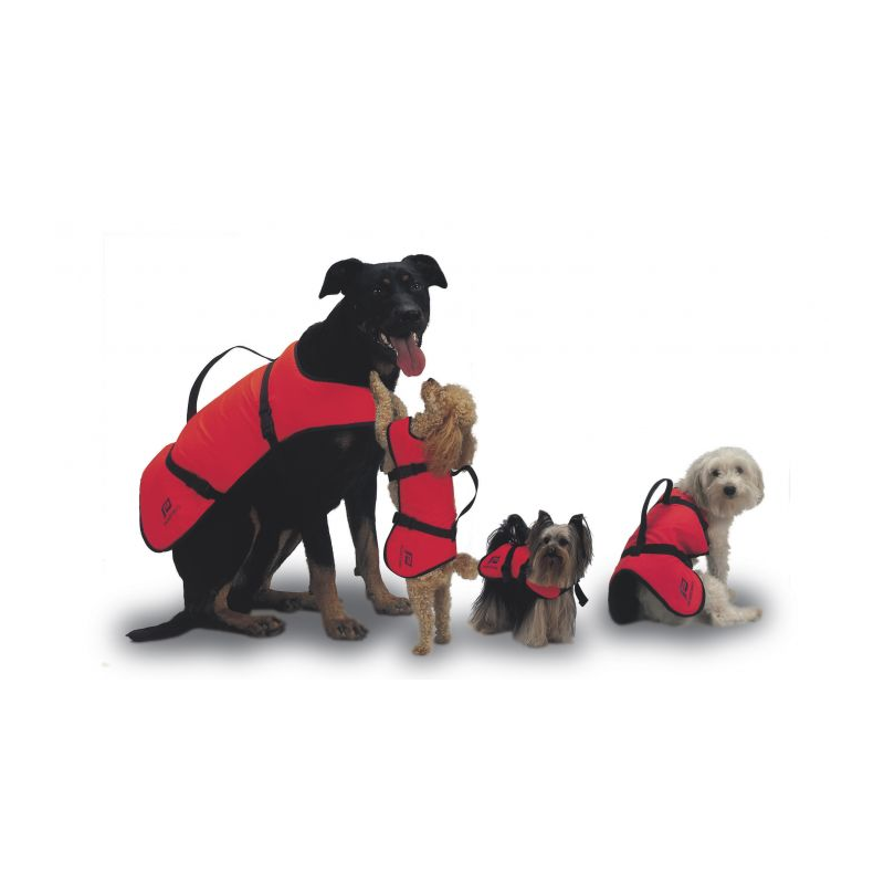 gilet de sauvetage pour petit chien